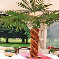 מלון Seilhac Le Relais Des Monedieres מראה חיצוני תמונה